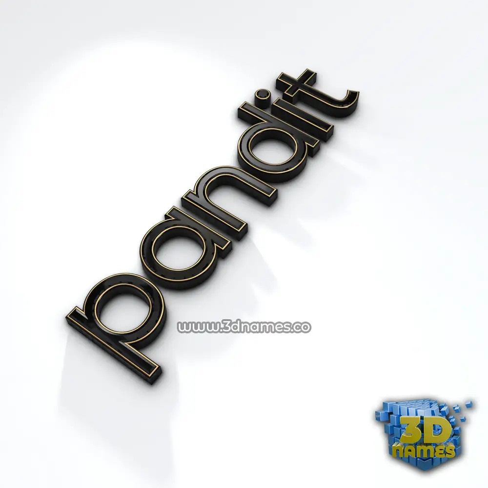 pandit in Black'n'White style - 3D name wallpaper