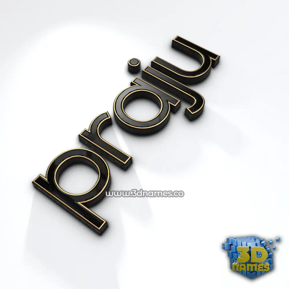 praju in Black'n'White style - 3D name wallpaper