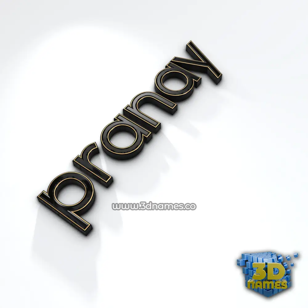 pranay in Black'n'White style - 3D name wallpaper