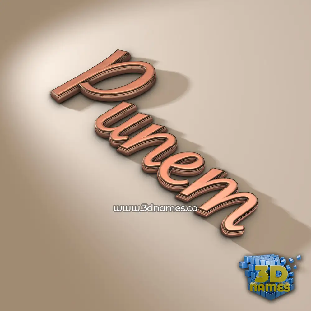 punem in Rose Gold style - 3D name wallpaper
